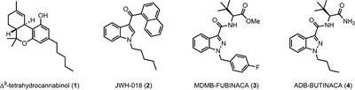 Synthesis and pharmacological evaluation of newly detected synthetic cannabinoid receptor agonists AB-4CN-BUTICA, MMB-4CN-BUTINACA, MDMB-4F-BUTICA, MDMB-4F-BUTINACA and their analogs